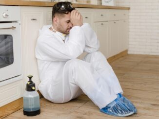 Come eliminare naturalmente la muffa da casa