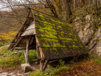 Case in legno: perché averne una