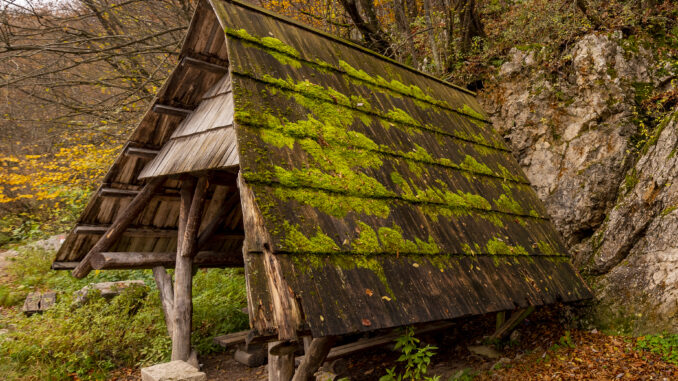 Case in legno: perché averne una