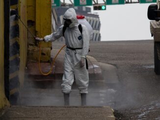 Disinfestazione per aziende professionale: ecco quando serve