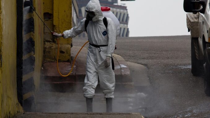 Disinfestazione per aziende professionale: ecco quando serve