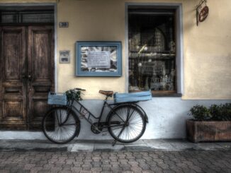 Torino, libri e musica: gli eventi della primavera