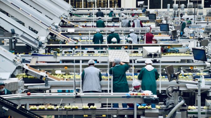 Sicurezza alimentare: corpi estranei nei prodotti confezionati? Sicurezza alimentare: corpi estranei nei prodotti confezionati?